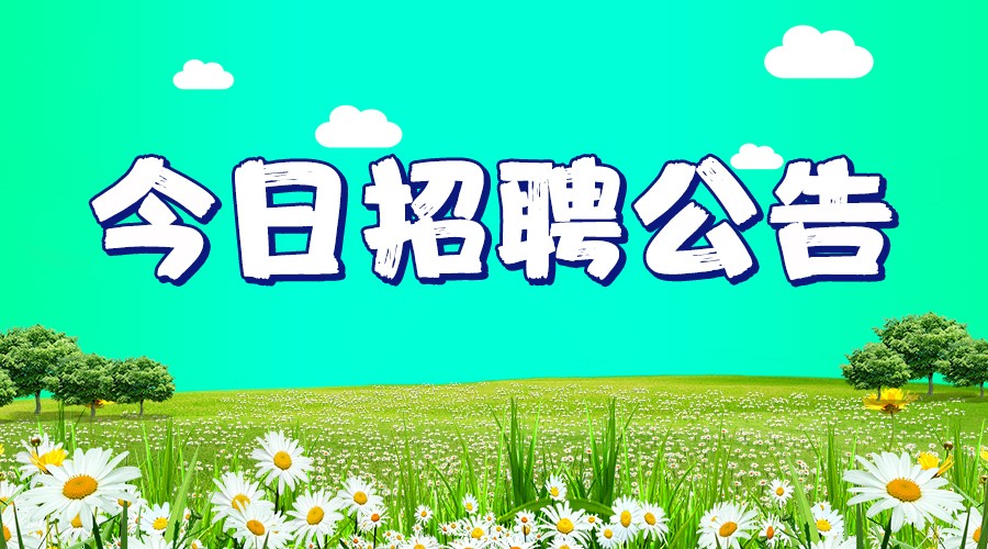 巨鹿最新招聘信息，职场新动向与时代脉搏同步更新