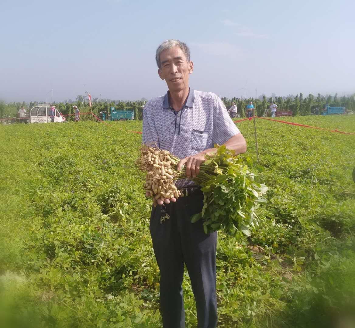 最新花生米价格走势分析与观点论述