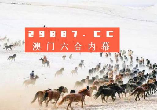 4949澳门今天开的什么码，实地数据评估解析_8K35.17.38