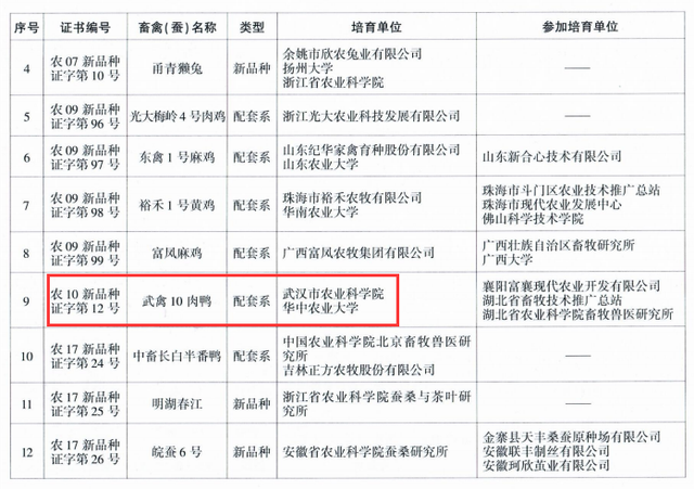 2004新奥精准资料免费提供,方案快速审定分析_私享集2.982