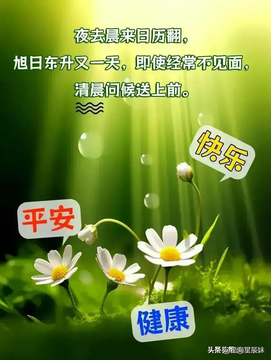 2024年天天彩资料免费大全,深化探讨解答解释路径_全景版1.758