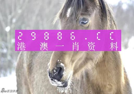 第7003页