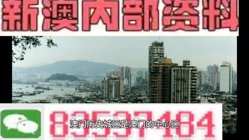 2024澳门最精准资料免费,实地执行考察设计_加固版5.74