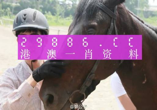 第6971页