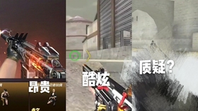 2024新奥正版资料免费提供,正确解答解释落实_枪战版1.907