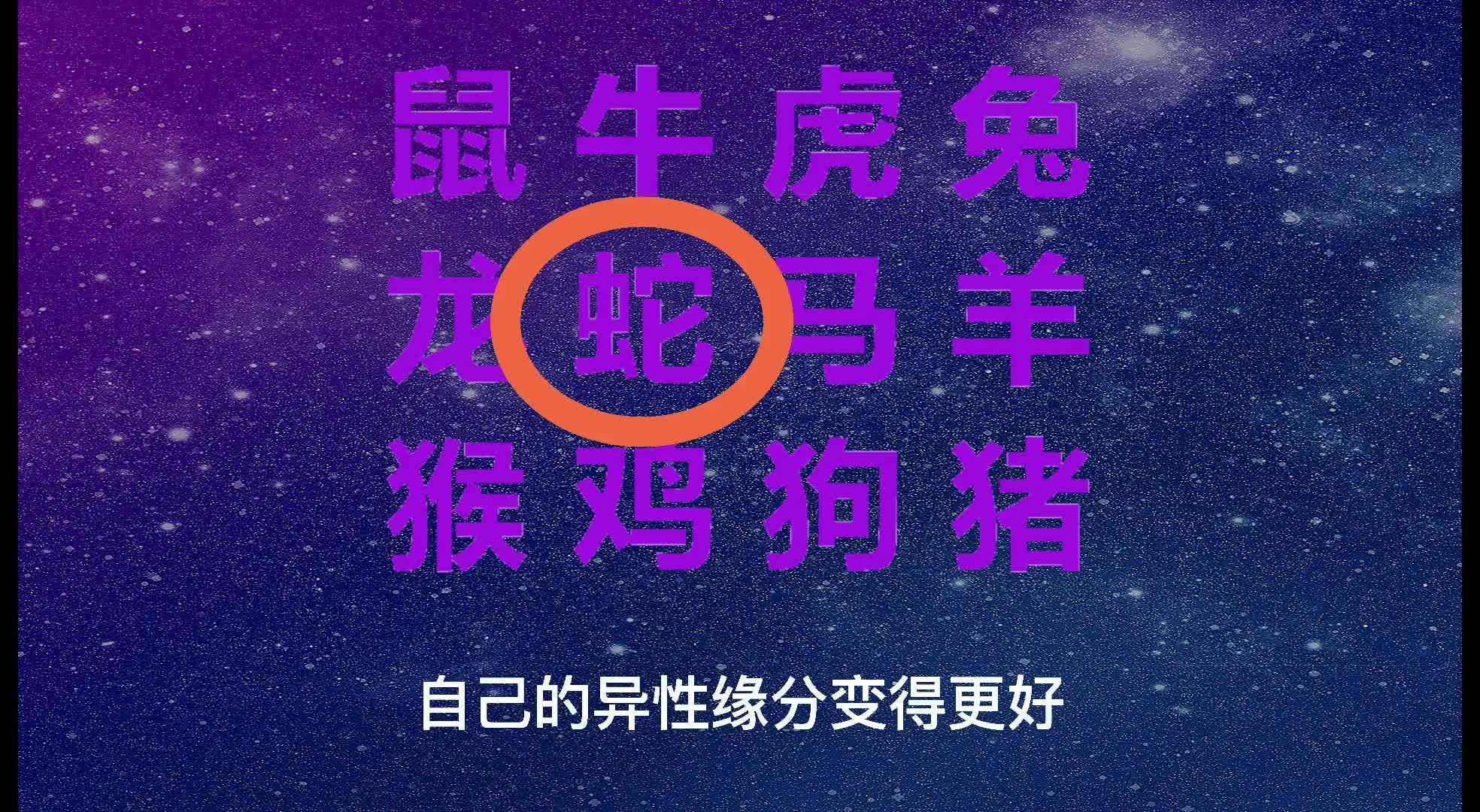 2024澳门今天晚上开什么生肖啊,团队建设解答落实_讨论款3.75
