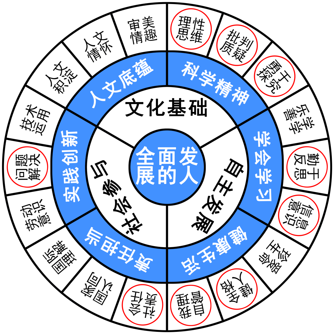 新澳资彩长期免费资料,素养解答解释落实_SP版3.809