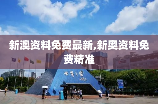 新澳精准资料免费提供510期,迅速落实计划解答_伙伴版0.595