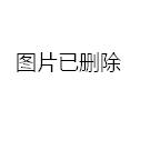立式防爆振动电机 第1794页