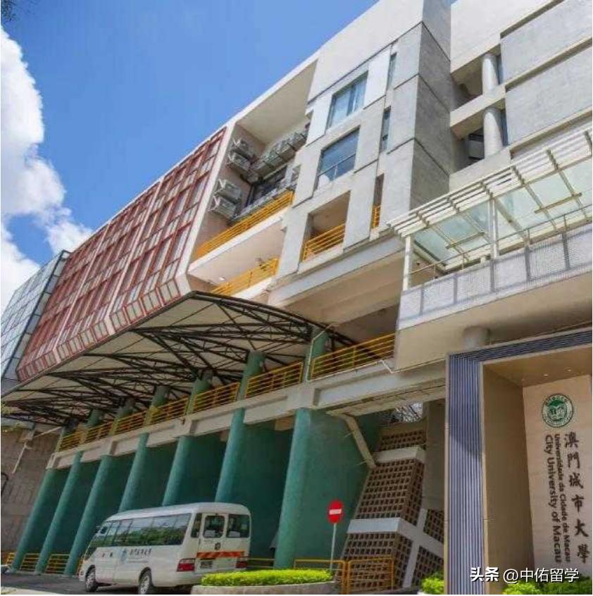 2024澳门天天开好彩大全最新版本,深度应用解析数据_特级版3.19