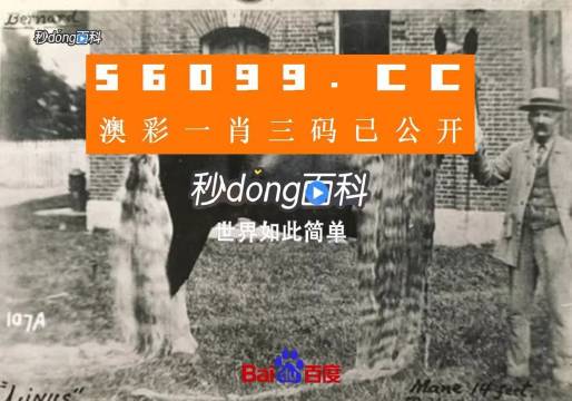 第6853页