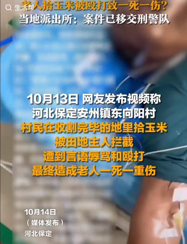 2024新澳免费资料大全_老人拾玉米被打致1死1伤？当地回应,迅速落实计划解答_AP14.94.80