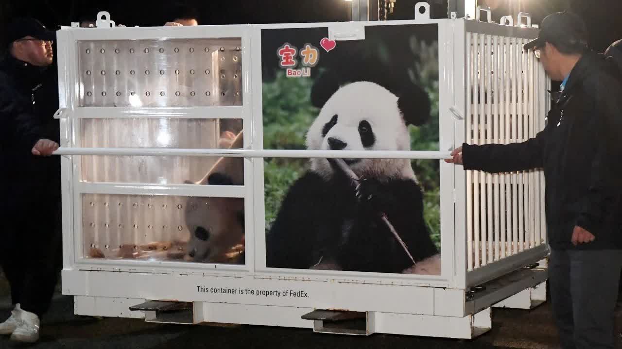 全年资料免费大全_大熊猫宝力青宝启程赴美,连贯评估方法_视频版56.86.57