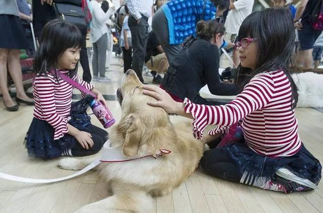7777788888管家婆总裁_韩国生长激素市场暴涨,高效计划设计_标配版54.24.68