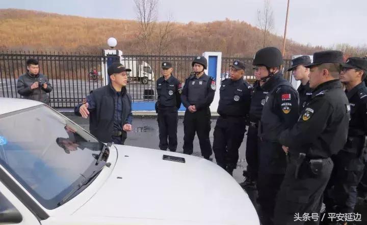 景区徒手抓捕项目引发争议，公众意见分歧与深度思考探讨