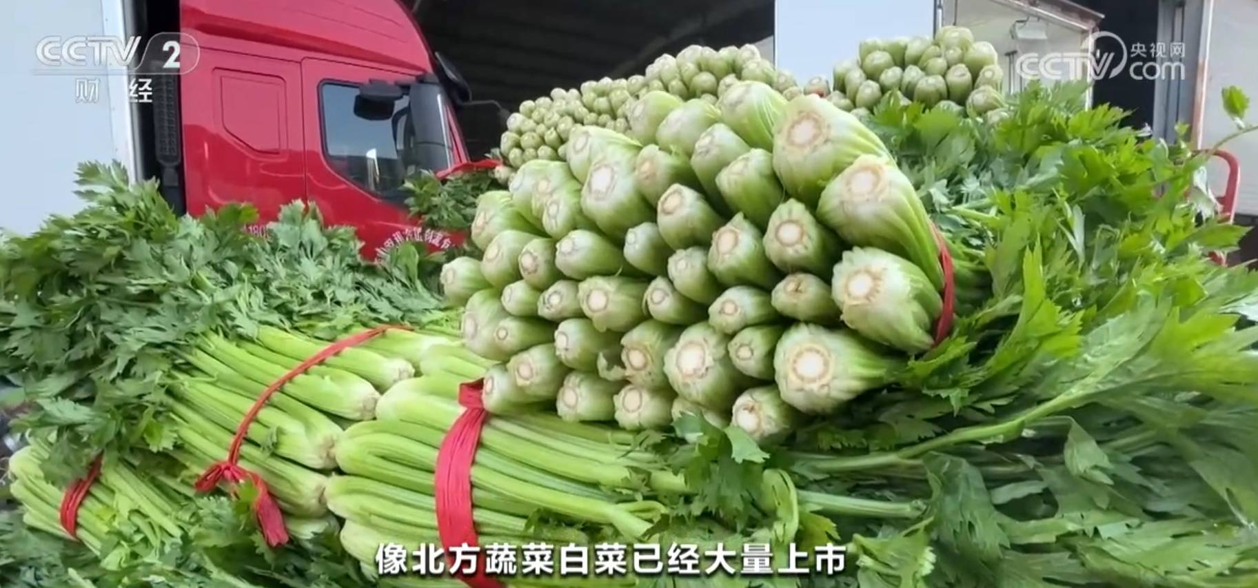 秋季蔬菜盛宴，丰收季节的味蕾狂欢，蔬菜盛宴上市供应充足