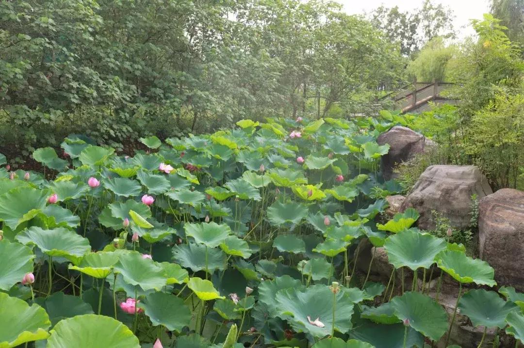成都地铁十四载风华，不实传闻与真实情感的碰撞日探秘地铁风华