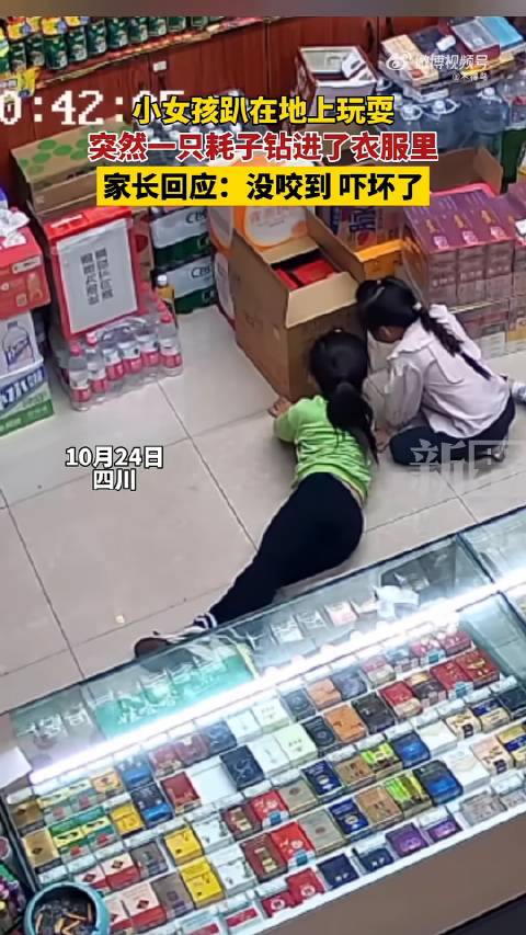 老鼠惊魂一幕，变化、自信与成就的力量在挑战中成长
