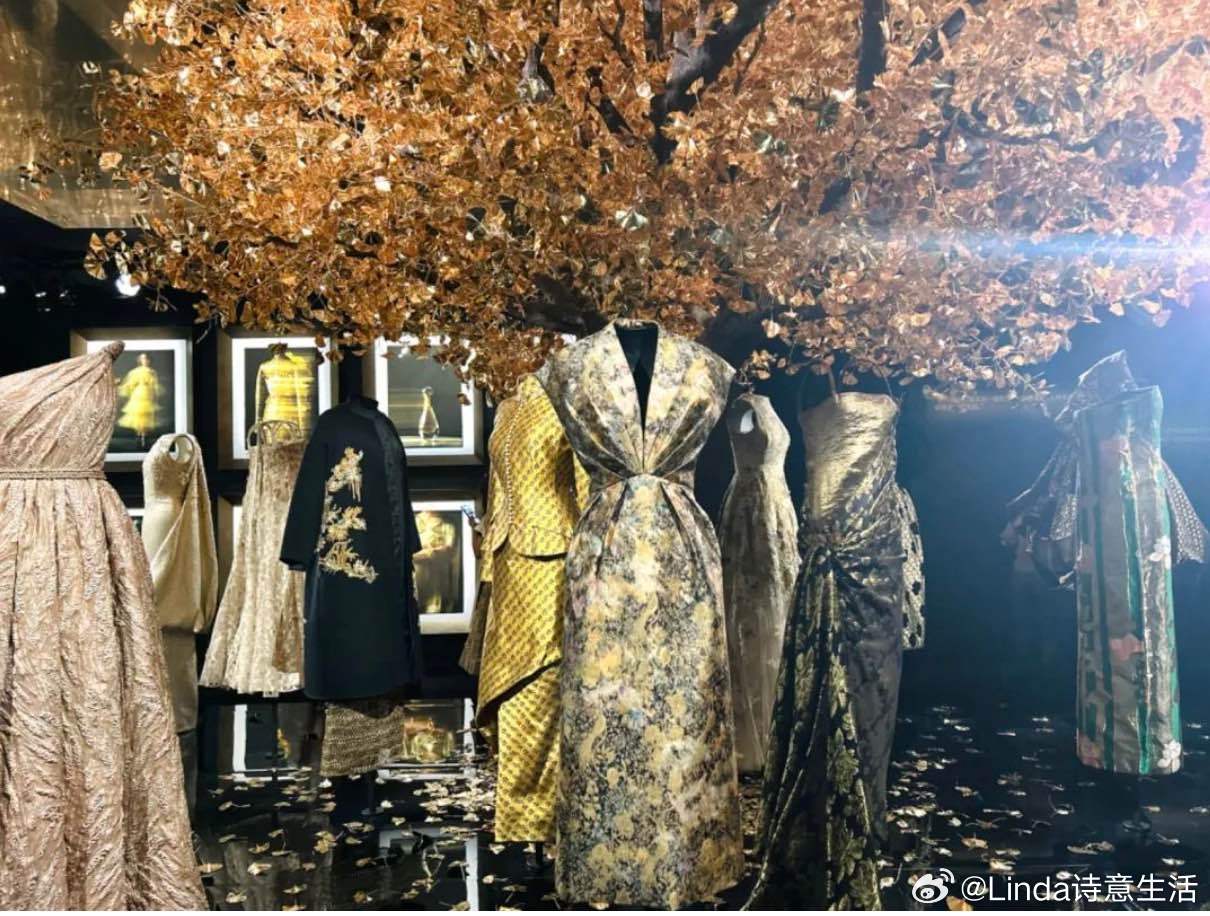 金色画卷限时上新，启程自然美景探索之旅