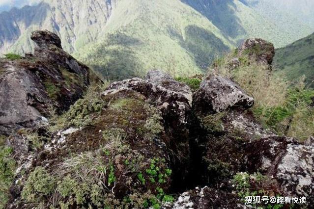 部队穿越哀牢山，挑战与超越的壮丽篇章现场直击