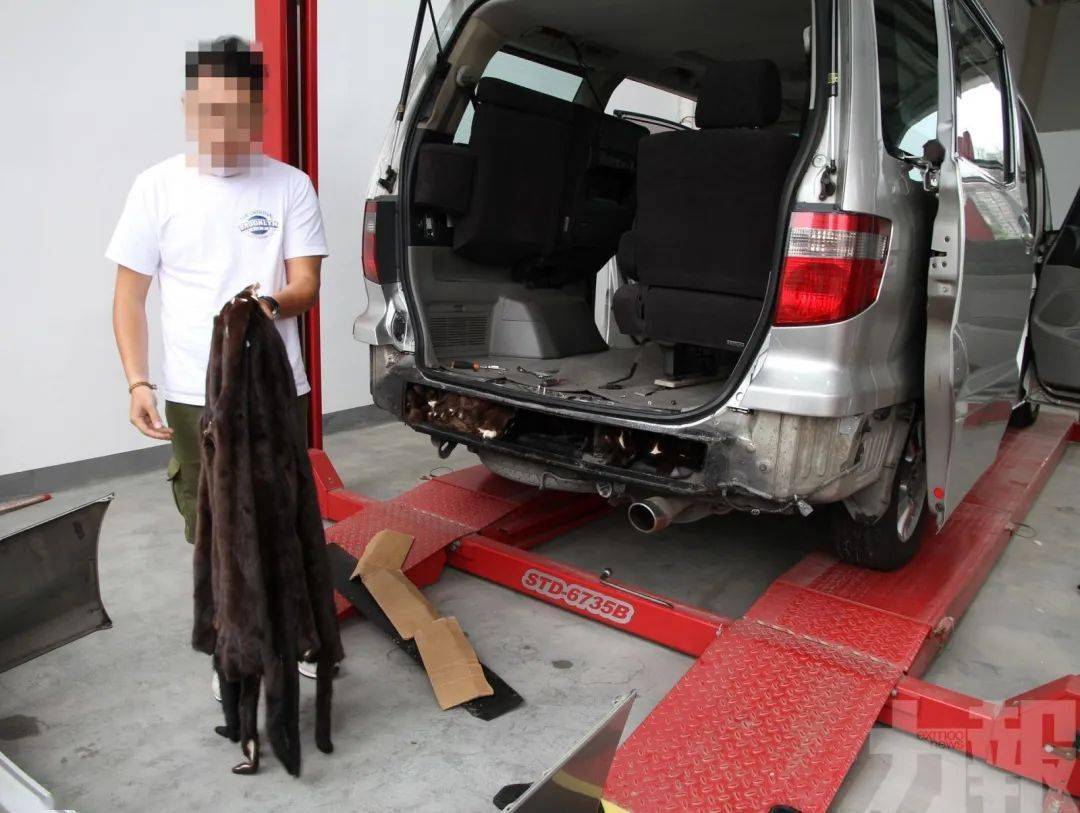 出口货物夹藏旧中巴车遭海关查获事件揭秘