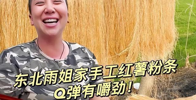 东北雨姐粉条厂家停产停业指南，从初学者到进阶用户的实用步骤与注意事项