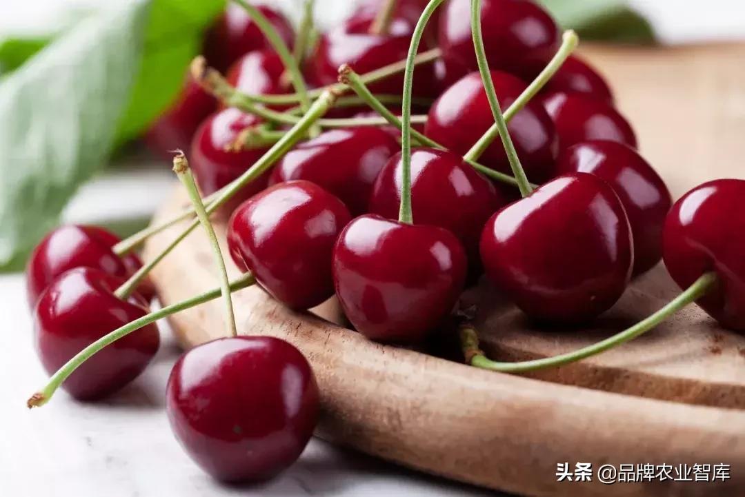海关回应天价红薯背后的真相与常识解析，红薯竟来自日本？