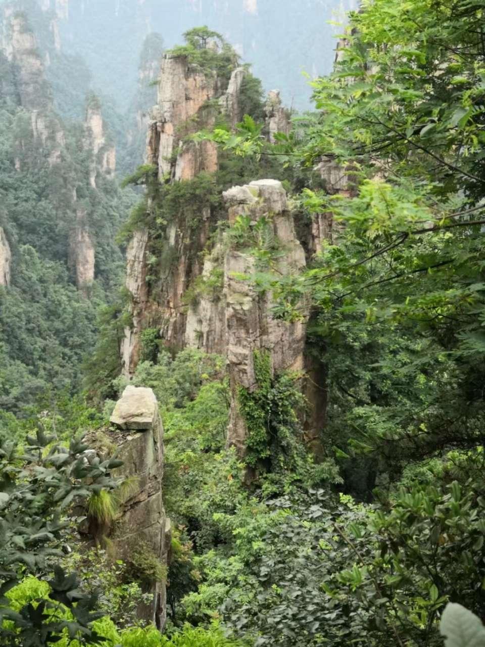 张家界景区拆分收费引发争议，当地通报回应质疑
