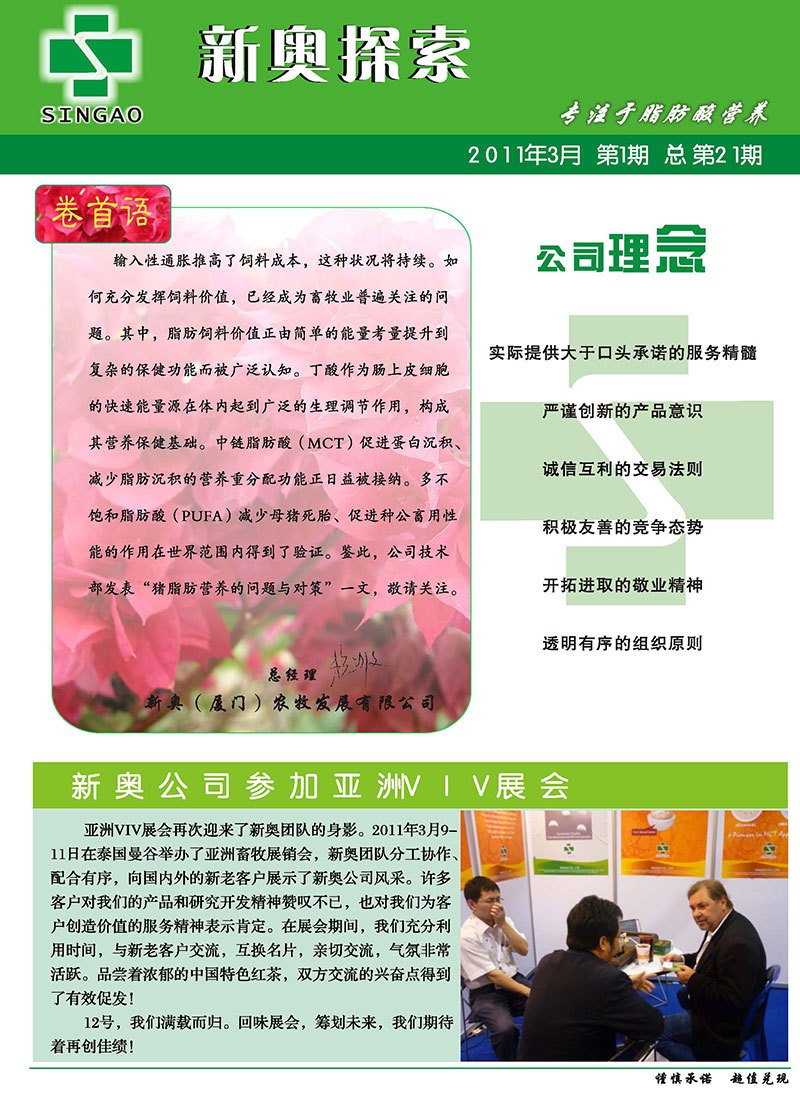 2024新奥正版资料免费提供,财务分析方案_改良款90.513