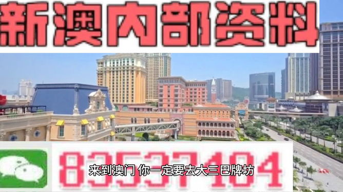 新澳门资料大全正版资料2024,卓越解答解释落实_进展版20.482