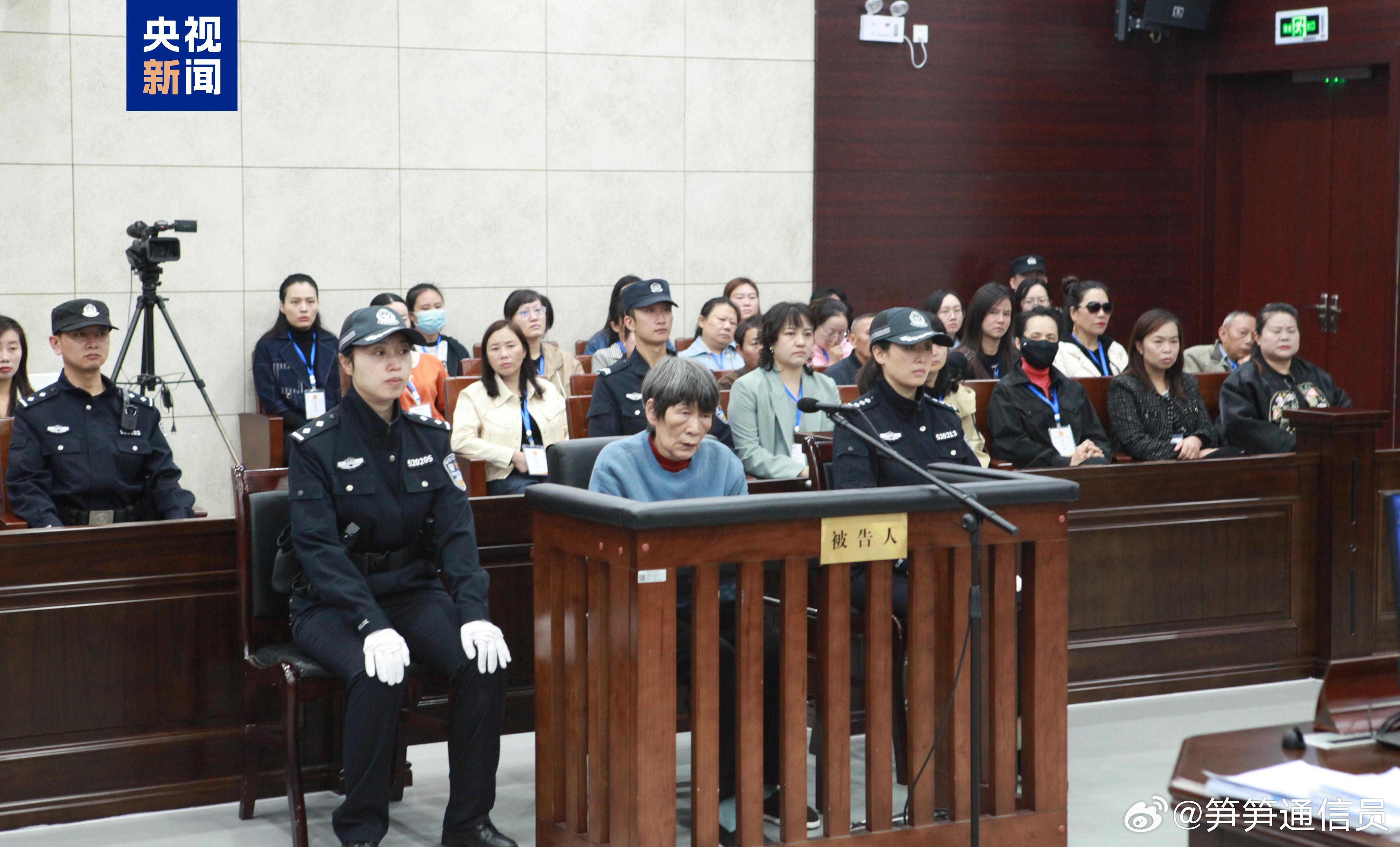 余华英案深度解析，公众关注焦点与判决死刑建议