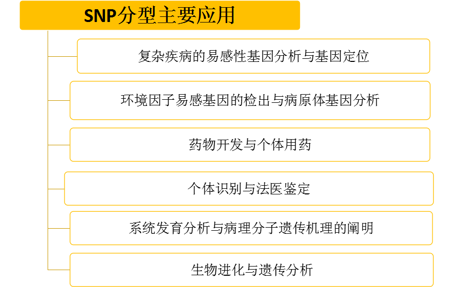 2024新澳资料免费资料大全,循环解答执行落实解释_共享型37.349