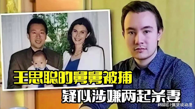 王思聪舅舅杀妻案背后的故事，神秘小巷与博主揭秘真相揭秘