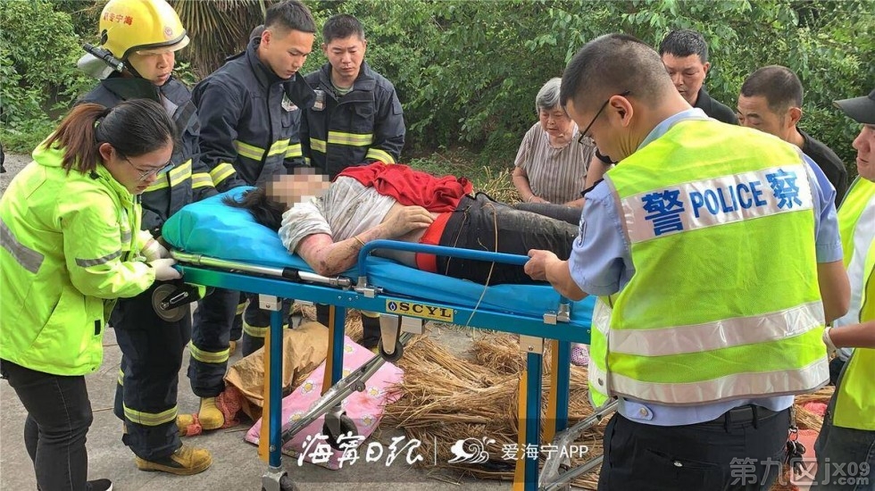 一家三口被撞身亡事件，肇事者泄愤行为背后的深度问题探讨