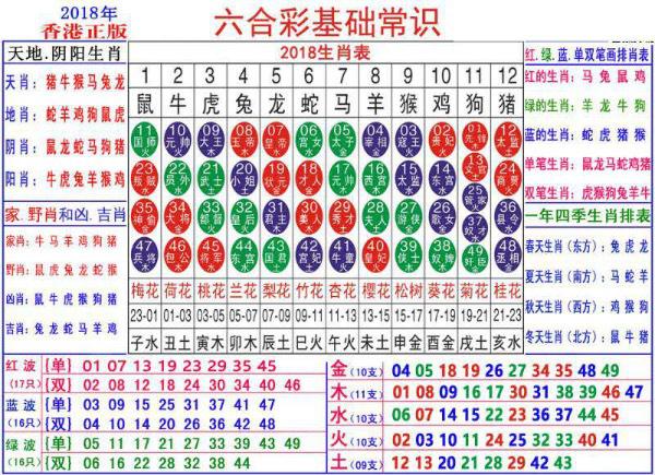 澳门正版资料大全资料生肖卡,实地研究解释定义_集合版81.757
