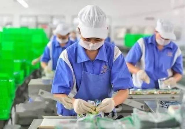 四川眉山优秀人才引进计划，削菜工专家培养与引进攻略