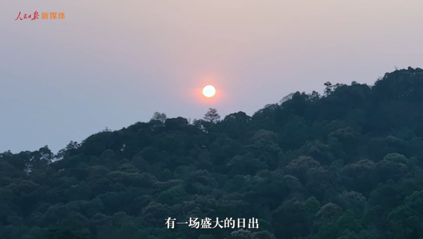 新澳2024资料大全免费,精细解读分析_工具包34.644