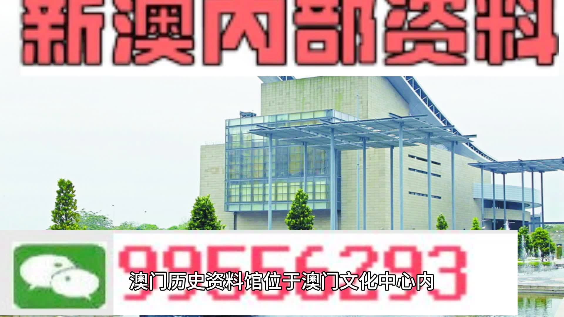 2024新澳门天天开好彩,逻辑研究解答解释路径_说明集19.982