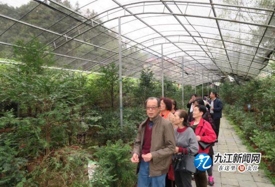 重阳节特别活动，为父母做七件事，共赴自然美景之旅