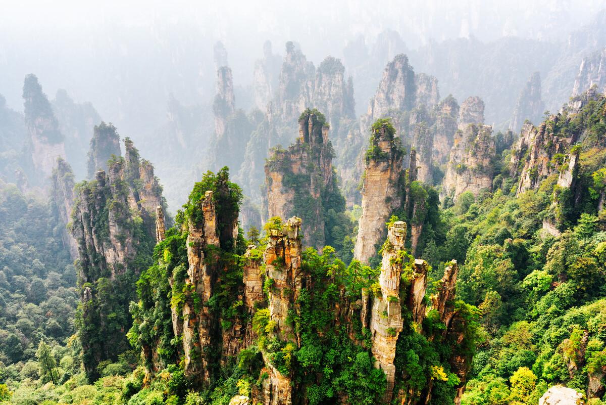 张家界景区被拆分单独收费引发争议，当地通报揭秘探索之旅背后的真相