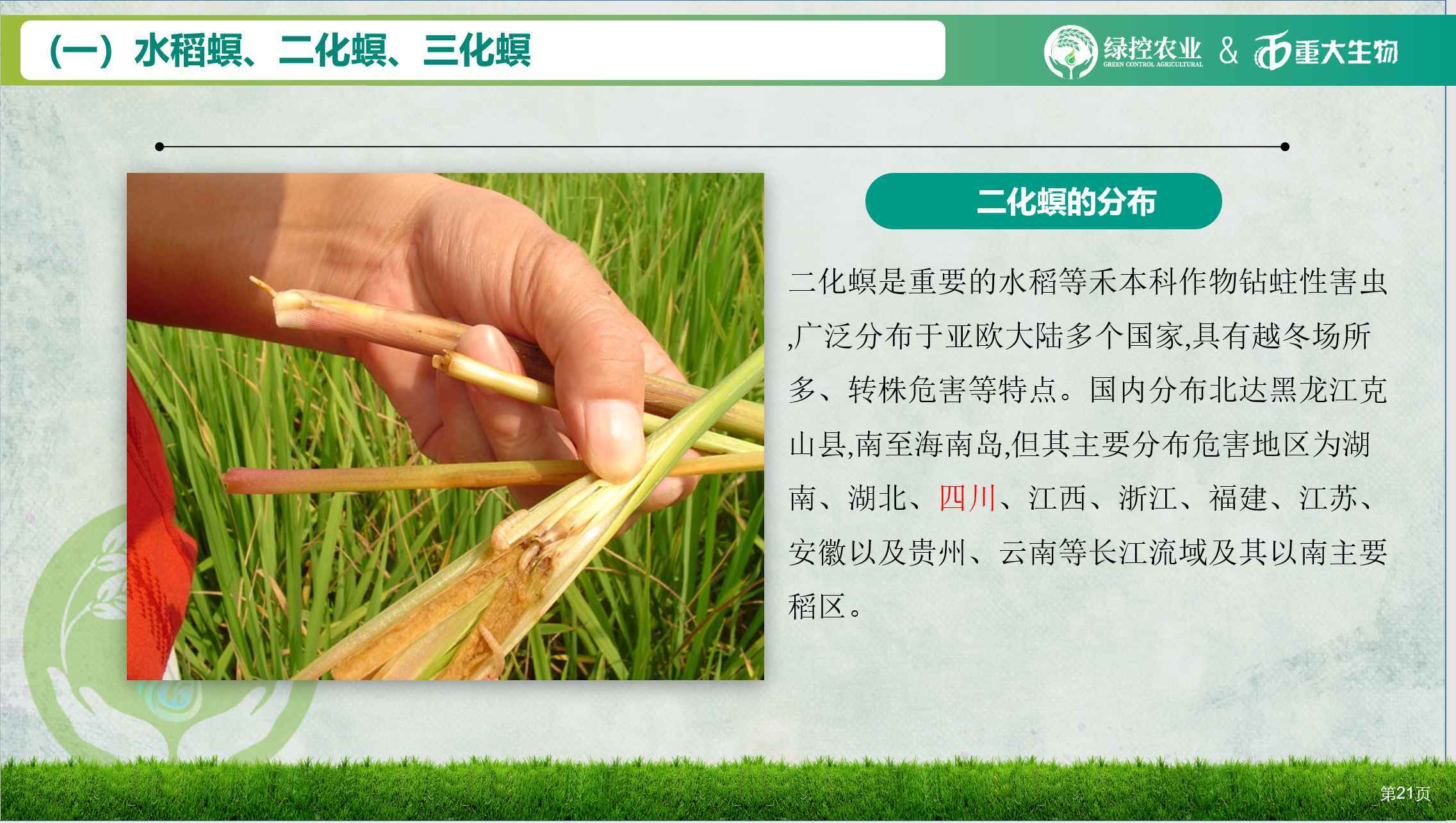 网友爆料过期大米流向乡村学校，食品安全问题亟待重视