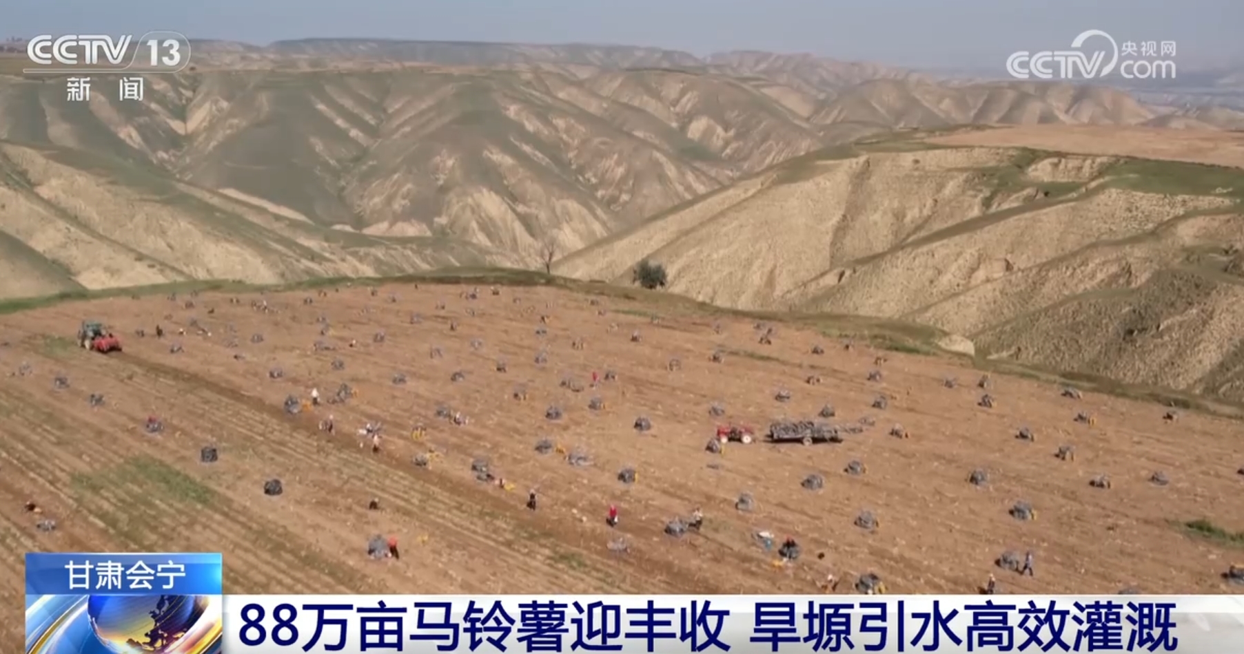 金秋硕果映笑颜，巷弄深处的特色小店与农民的喜悦