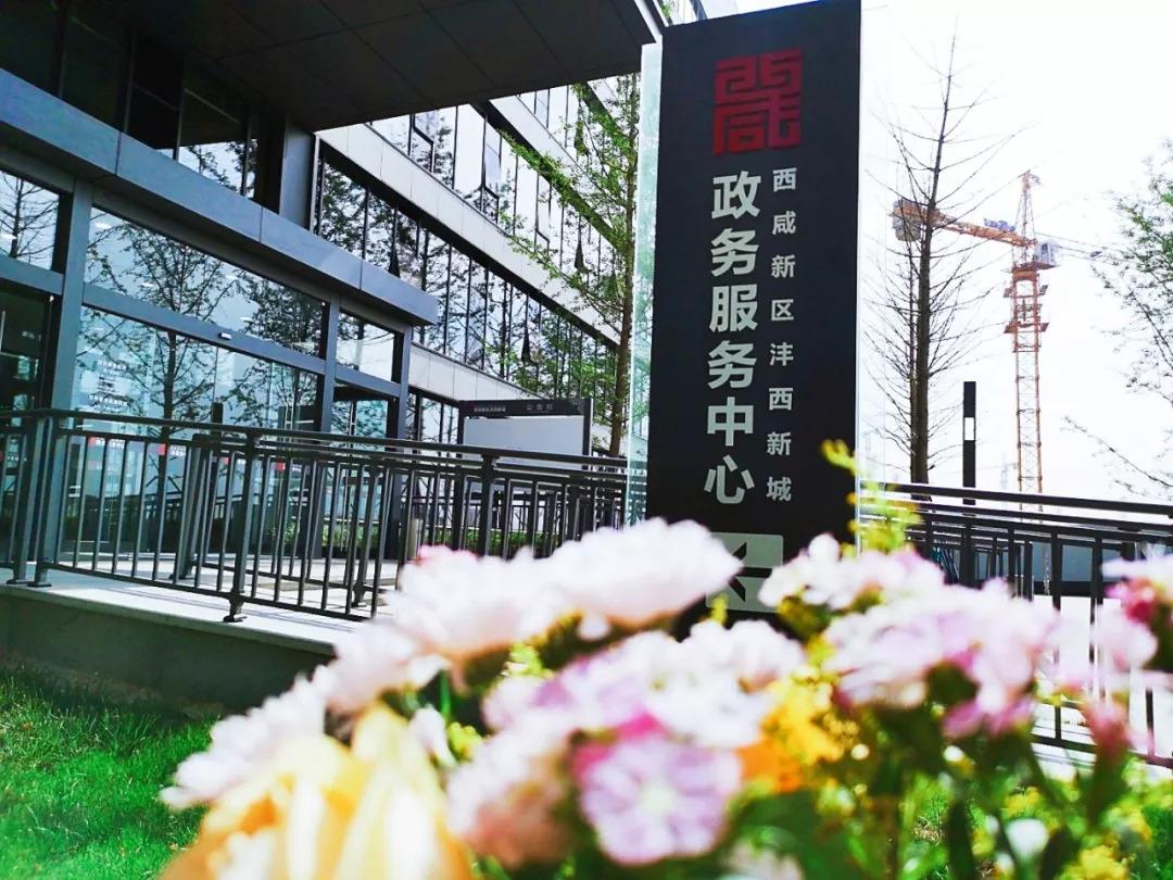iPhone最新系统与家的温馨故事揭秘