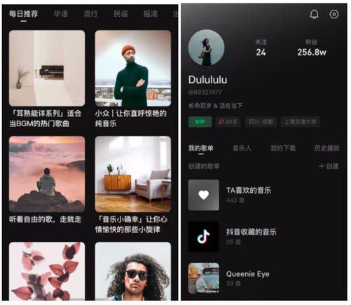最新版抖音app，科技重塑生活，未来尽在掌握