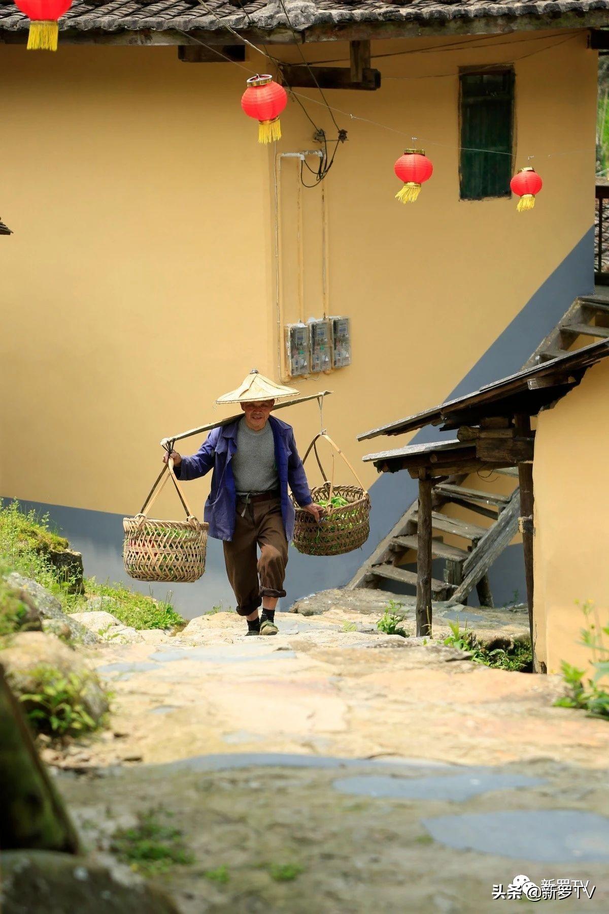 最新网络电影带你探索自然美景，寻找内心平和的旅行