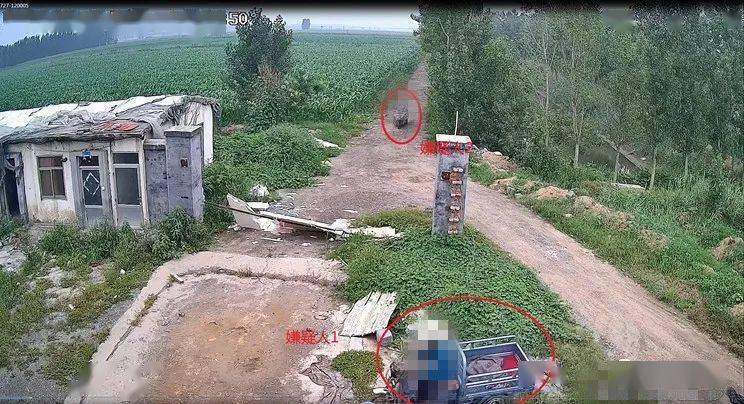 隔壁小区挖洞疑偷接电事件真相探究，警示与反思