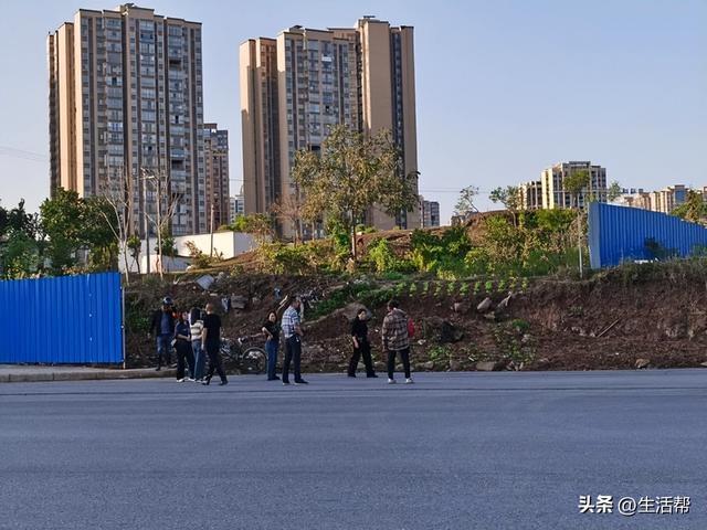 四川回应菜地被插违反大气法事件，深度分析与观点阐述
