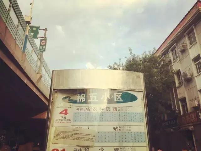 常山北明市值飙升近260亿元，投资指南与深度解析