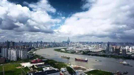 管理方回应上海徐汇滨江异宠现象，友情与陪伴的温馨故事初现波澜