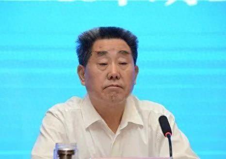 河南人大常委会原副主任刘满仓被查，回顾与反思其职业生涯的警示与反思